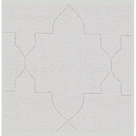 Surya Ashlee - 18 Sample Area Rug" ASL1013-1616